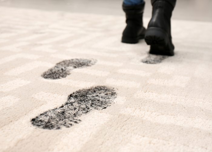 Person,In,Dirty,Shoes,Leaving,Muddy,Footprints,On,Carpet